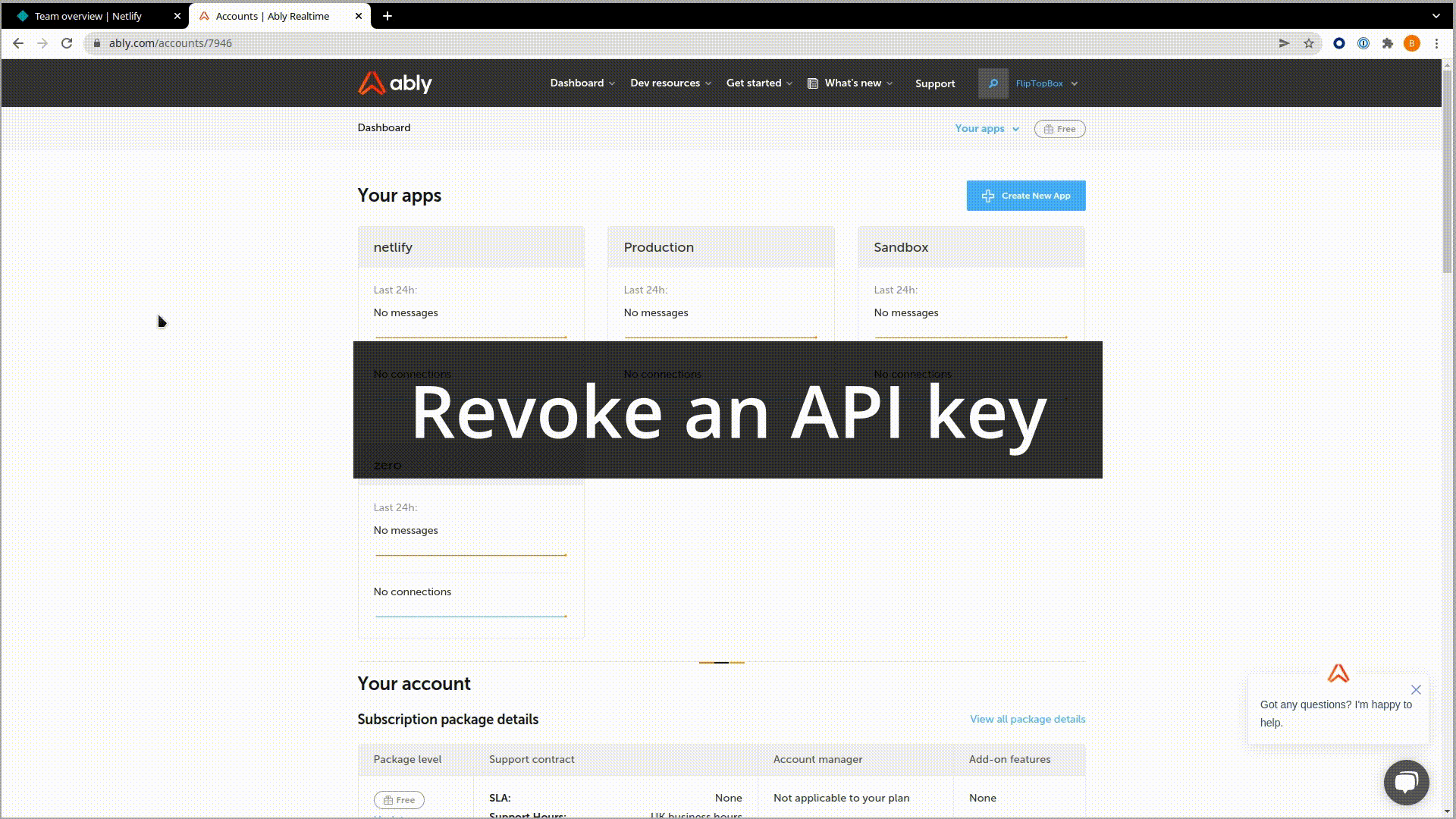 Cleanup: revoke API key, delete app, delete Netlify instance