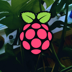 Raspberry spy: a camera controller